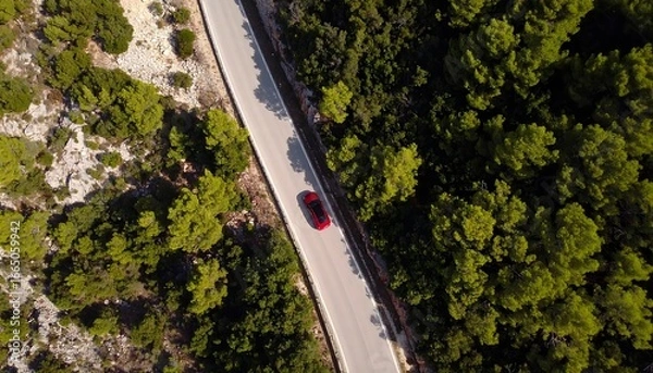 Fototapeta A winding road snakes through a lush forest, with a red car visible in the distance.