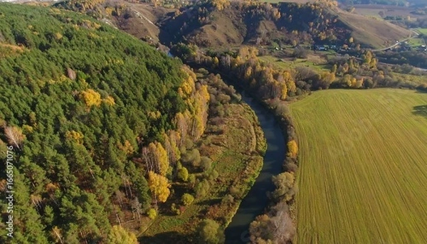 Fototapeta High-angle view of a winding river flowing through a landscape of autumnal forests and golden fields.