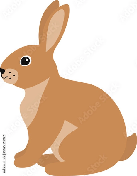 Fototapeta vector illustration of a rabbit