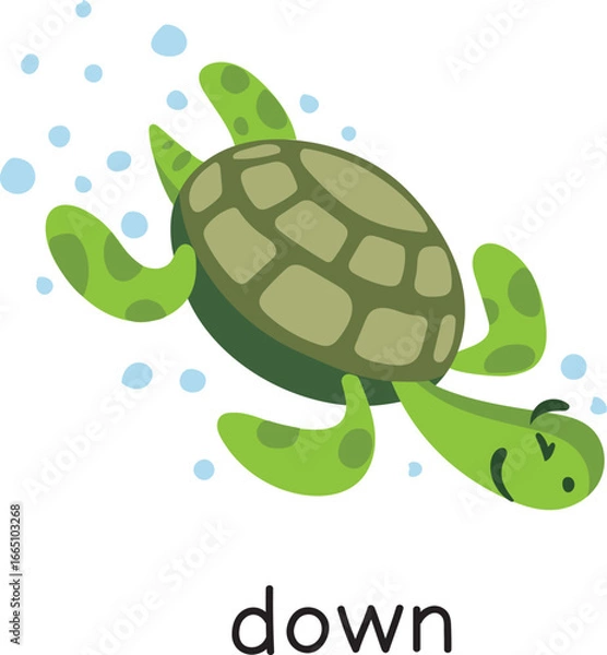 Fototapeta Prepositions. Turtle is moving DOWN