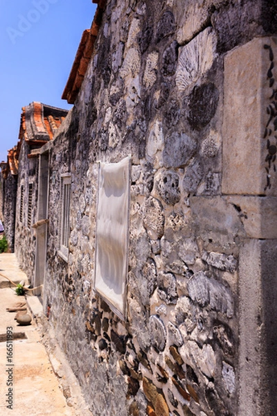 Obraz Coral stone wall