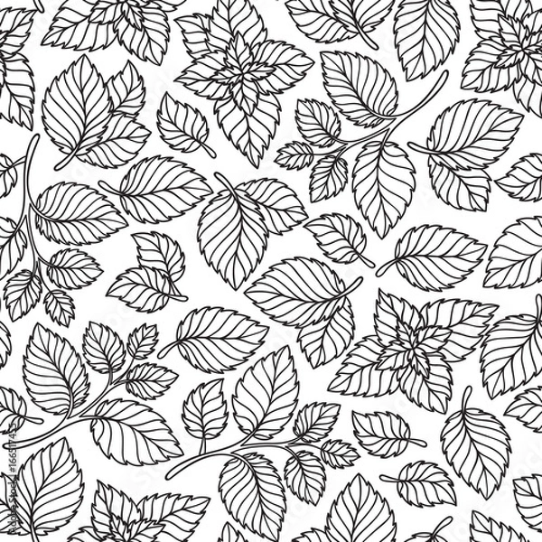 Fototapeta Vector seamless pattern  of mint leaves .