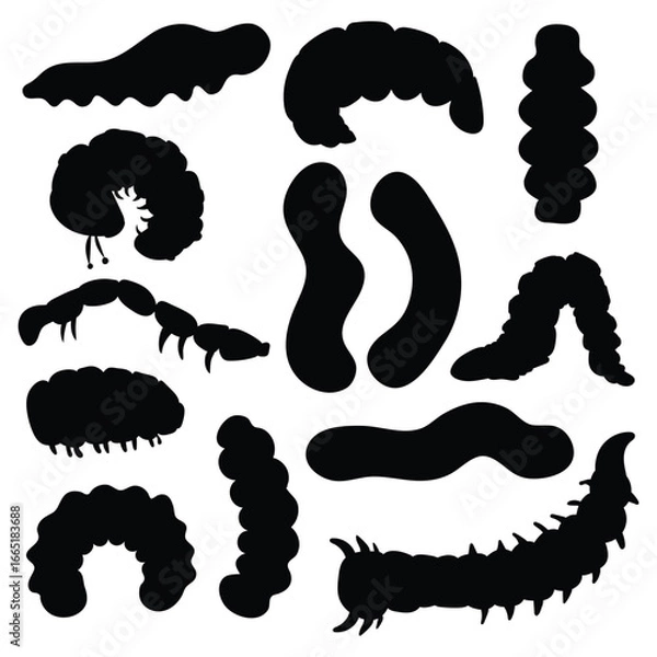 Fototapeta Set of flat line insect caterpillar icons. Outline signs for insects. Cute cartoon caterpillar coloring page. Vector black line illustration.