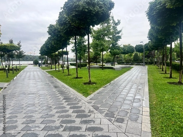 Obraz path in park