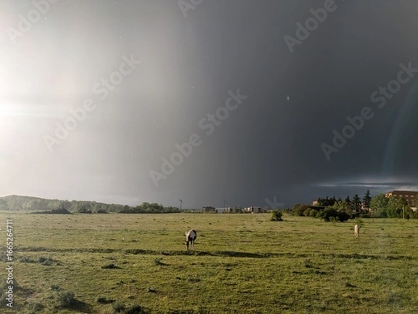 Obraz light and dark sky with rain and horse 