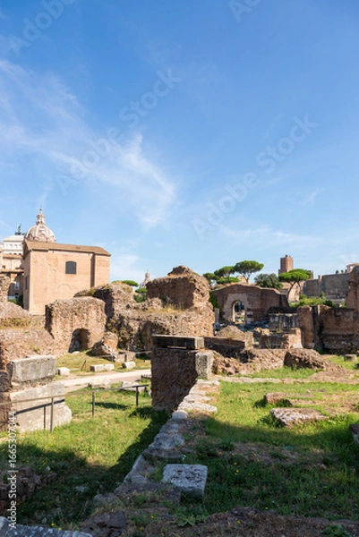 Fototapeta Rome, Italy - August 17, 2019: View of the ancient structures of the Roman Forum