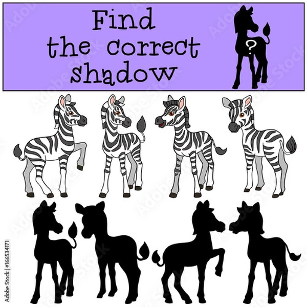 Fototapeta Educational game: Find the correct shadow. Little cute zebra.
