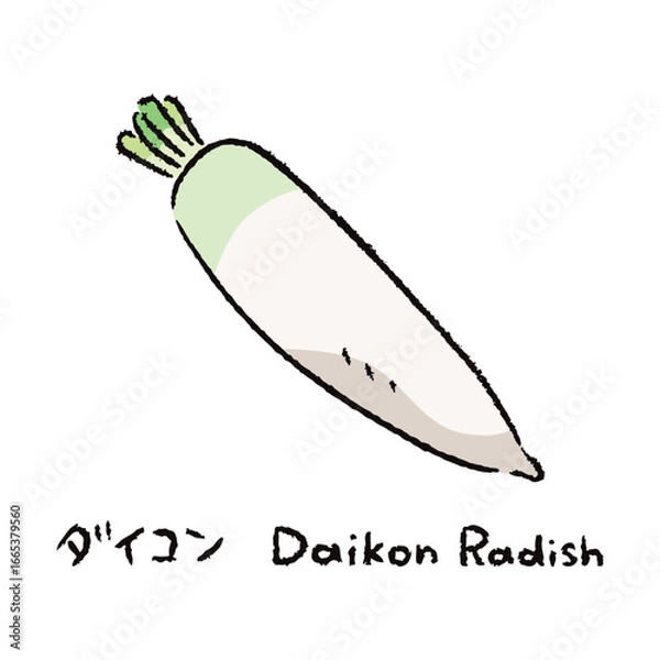 Obraz 手描きの大根2_名称入