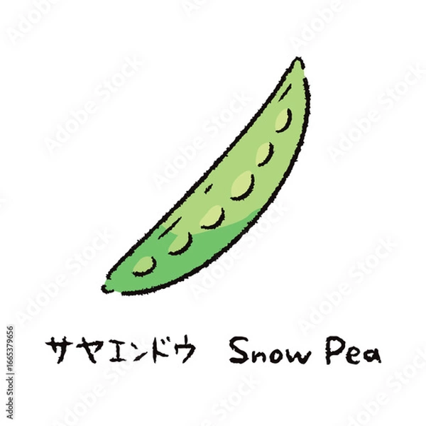 Obraz 手描きのさやえんどう2_名称入