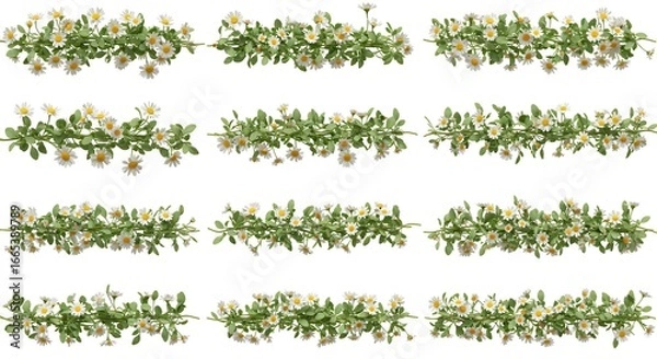 Obraz Floral border set illustrations designs elements