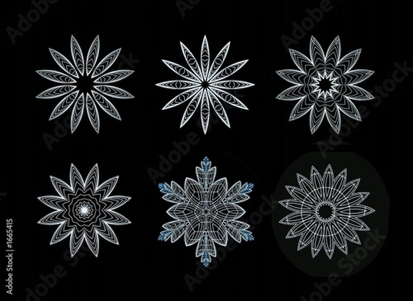 Obraz snowflakes for design artwork.black background