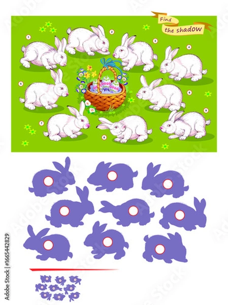 Fototapeta Best puzzles for kids. Can you find the shadow of each rabbit? Write the numbers in circles. Educational game for children. Task for attentiveness. Activity sheet. Hand drawn vector illustration.