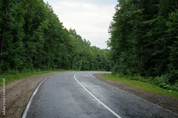 Obraz Road in forest