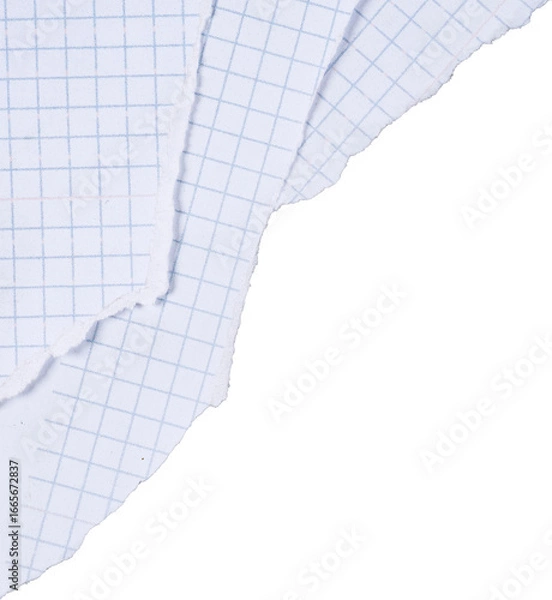 Fototapeta Layered Ripped Graph Paper Corner Frame for Math and Science Projects Cutout