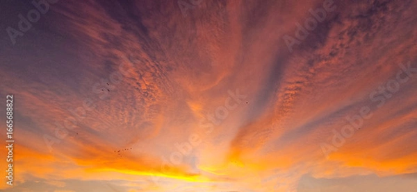 Obraz Beautiful sunset in the sky.