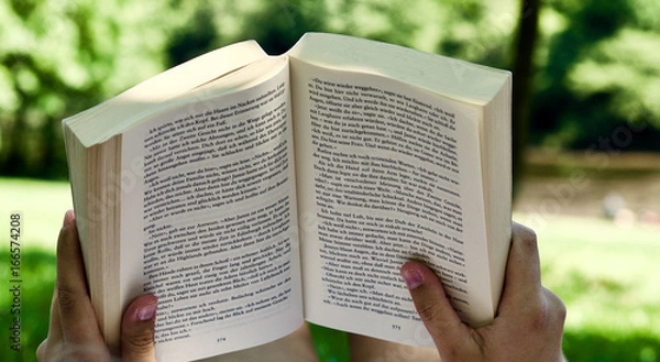 Fototapeta Buch 