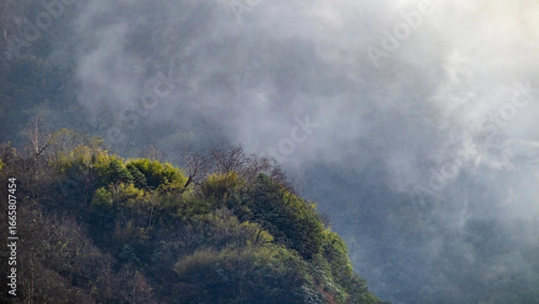 Fototapeta Misty green forested mountainside covered in clouds