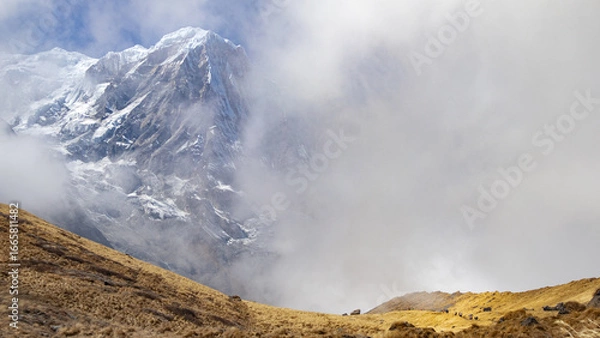 Fototapeta Mt. Annapurna south mountain peak of nepal Himalaya covered in snow under partial cloud cover. Grassland meadow covered in dry grass in foreground.