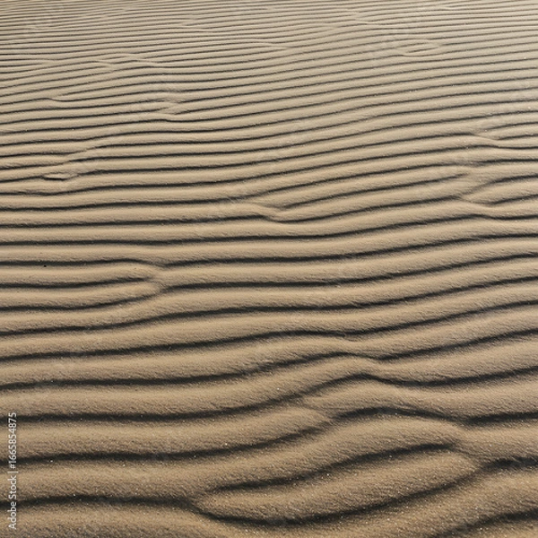 Obraz Sand dune texture with wavy patterns. Close-up view of sand dune surface. Natural outdoor scene, no people -