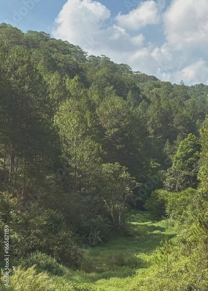 Fototapeta 대자연