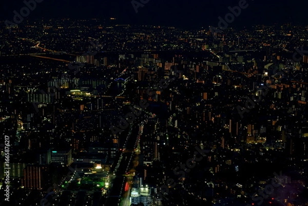 Obraz 東京　墨田区の夜景