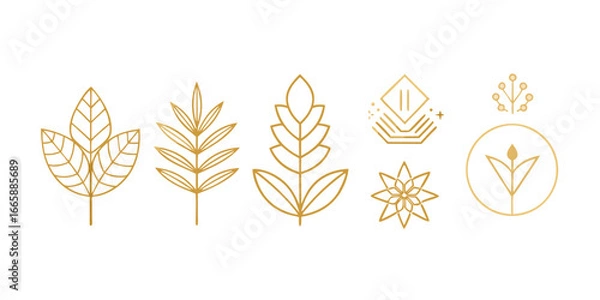 Fototapeta Golden botanical elements minimalist design set featuring leaves,flowers,and abstract shapes for elegant and natural designs