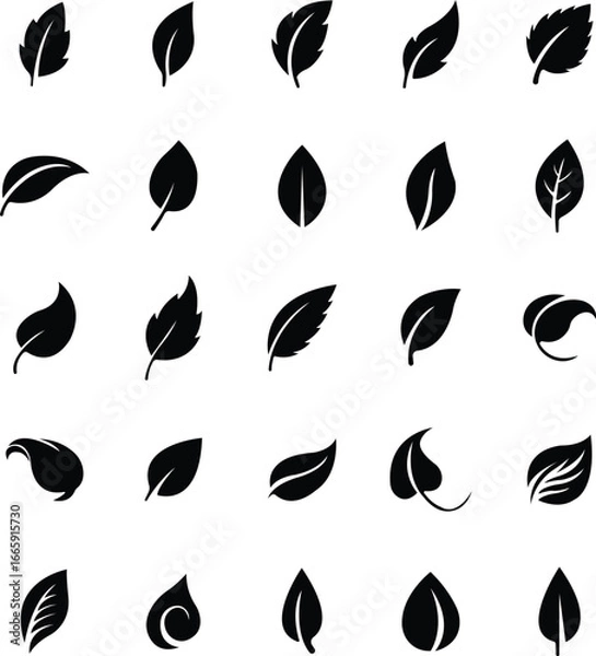 Obraz leaf vector silhouette collection for eco design, natural leaf vector icons pack