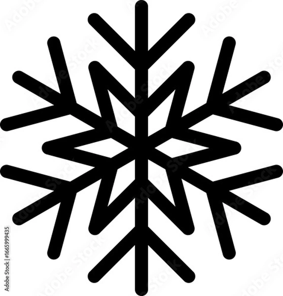 Obraz snowflake