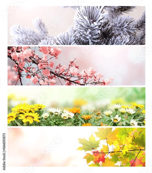 Fototapeta Set of horizontal nature banners. Four season of year. Each one features scene of nature, from the gentle snowfall of winter to the vibrant leaves of summer. Perfect for showcasing changing seasons