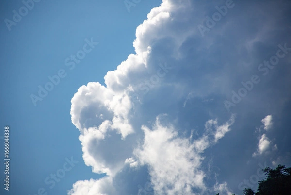 Obraz 奄美大島の夏の海。