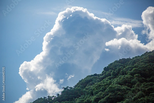 Obraz 奄美大島の夏の海。