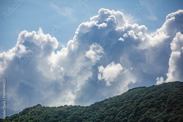 Obraz 奄美大島の夏の海。