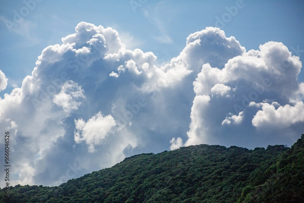 Obraz 奄美大島の夏の海。