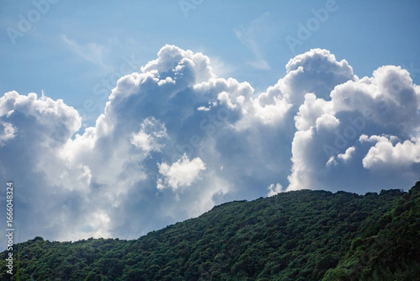 Obraz 奄美大島の夏の海。