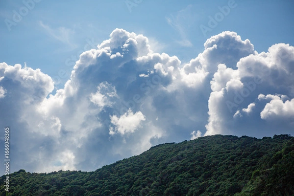 Obraz 奄美大島の夏の海。