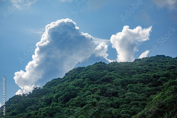 Obraz 奄美大島の夏の海。