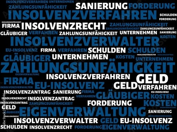 Fototapeta NIEWYPŁACALNOŚĆ - Zdjęcia ze słowami z zakresu upadłości, słowo, wizerunek, ilustracja