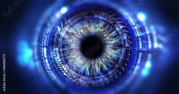 Obraz Technologia dostępu do bezpieczeństwa / Oko przeglądające informacje cyfrowe reprezentowane przez okręgi i znaki, głębia ostrości tła. Koncepcja technologii