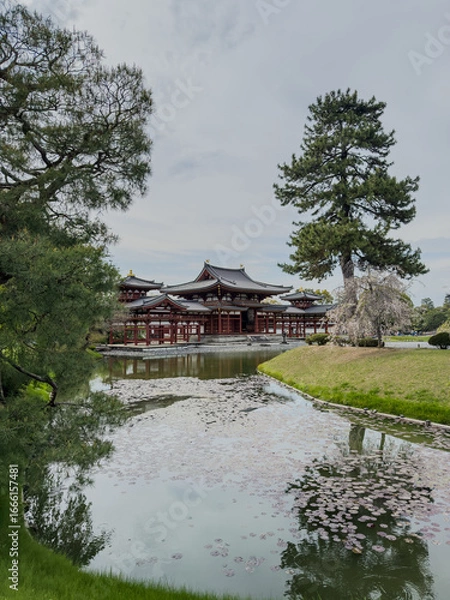 Fototapeta Uji Nature