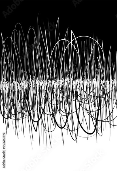 Fototapeta Abstract vector background in black and white