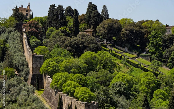 Fototapeta Scenic view of Forte di Belvedere and walls atop a hill, encircled by greenery and trees, down the hillside, blending architecture with picturesque landscape. Medici district of Florence, Italy.