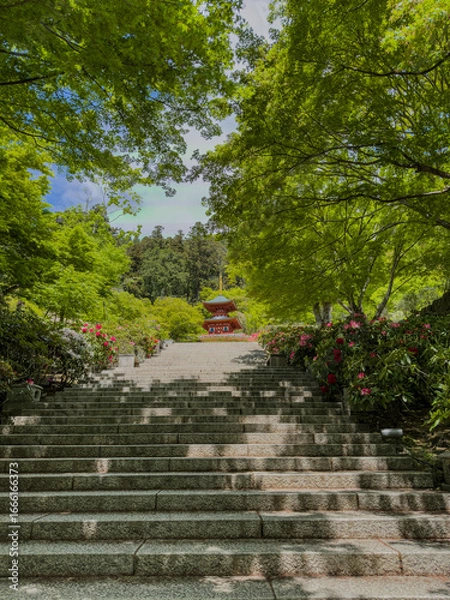 Fototapeta Daruma Temple