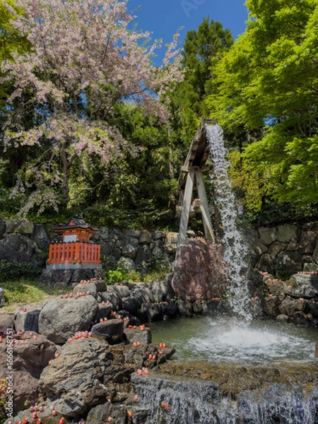 Fototapeta Daruma Temple