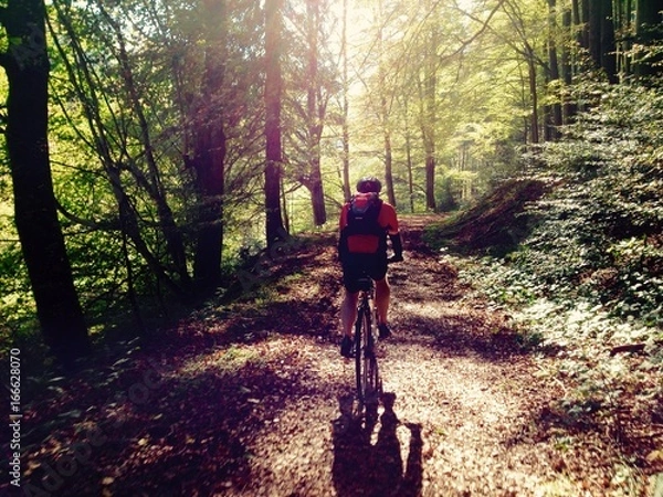 Obraz Thüringer Wald