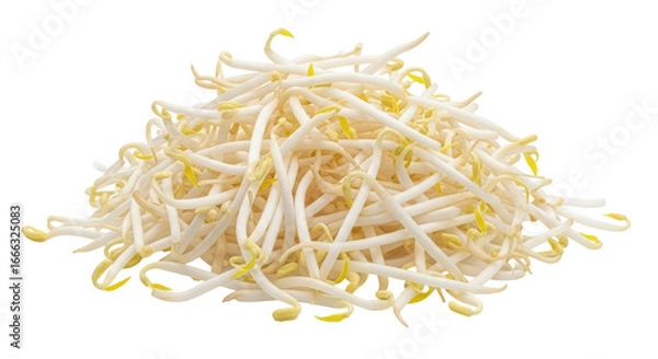 Obraz Isolated Pile of Fresh Bean Sprouts