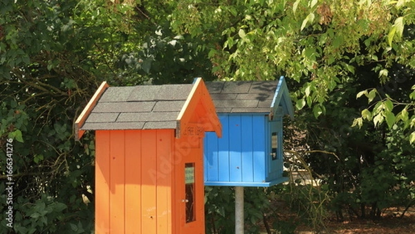 Fototapeta box in the woods, little free library, le 2 casette dei libri in parco