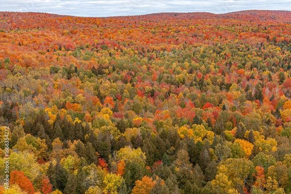 Obraz Peak Fall Foliage Over Rolling Hills