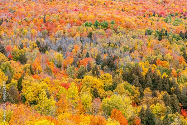 Obraz Peak Fall Foliage Over Rolling Hills