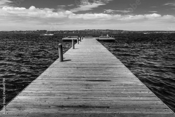 Obraz black and white dock
