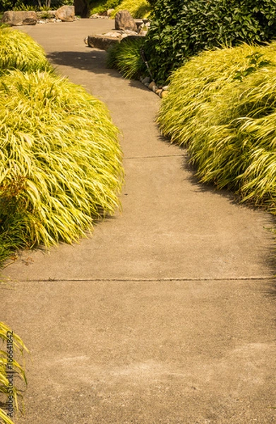 Obraz follow the path